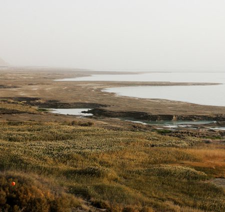 The Dead Sea