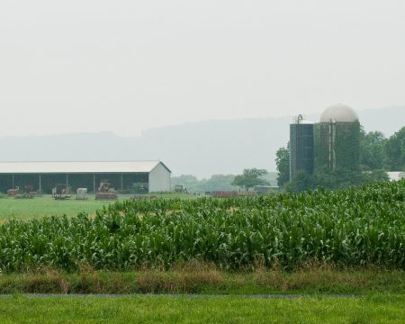 Nick’s Organic Farm, in Adamstown, MD