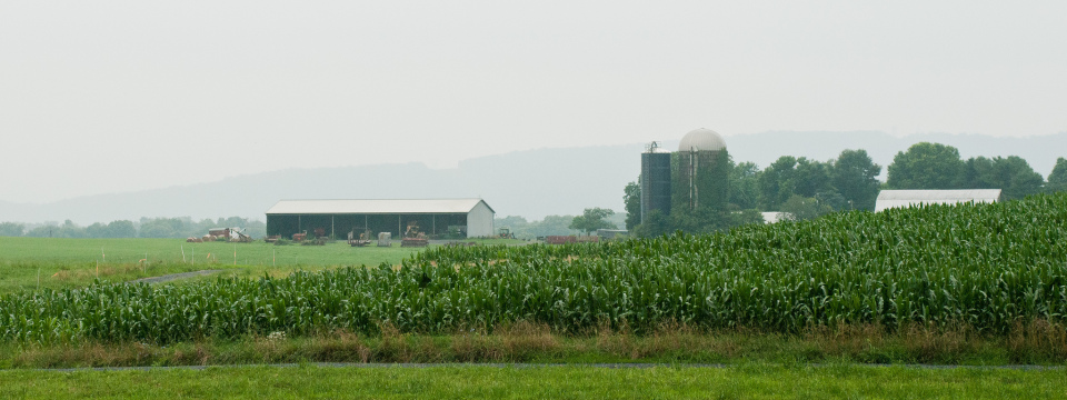 Nick’s Organic Farm, in Adamstown, MD