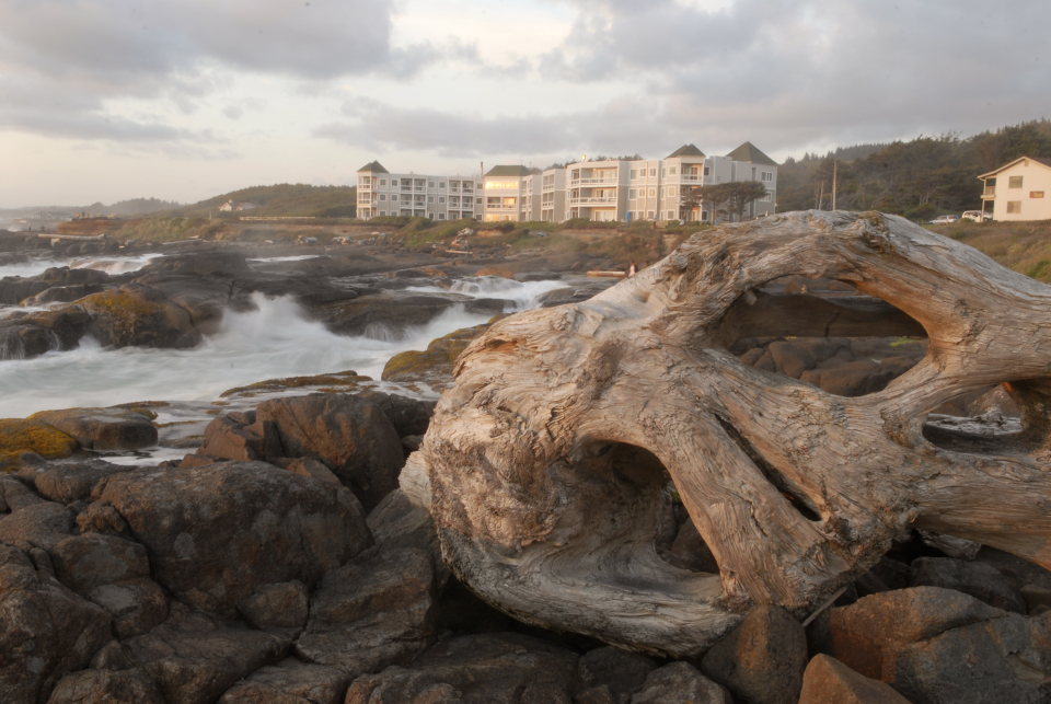 Sea Foam on the Oregon Coast - Overleaf Lodge & Spa