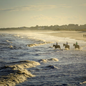 Horses on the beach at The Spa at Sea Island