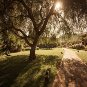 Garden path at Rancho La Puerta