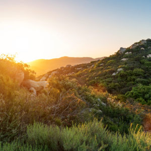 Hiking path at Rancho La Puerta