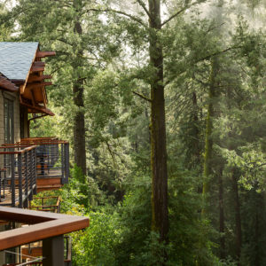 The Sayanta Balcony overlooking the forest at the Spa at 1440 Multiversity