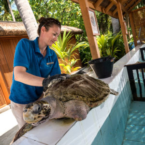 A marine biologist with a sea turtle that lost its front flipper in a ghost net.
