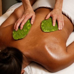 Four seasons scottsdale, spa, treatments,