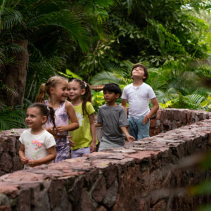 kidswell, four seasons punta mita