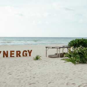 Synergy The Retreat Show