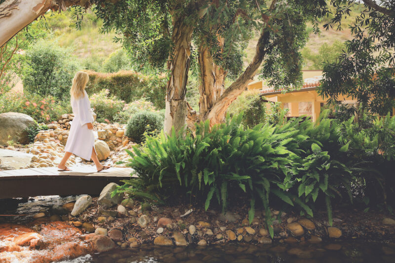 Cal-a-Vie, Spa Bridge, destination spa, san diego, insider's guide to spas