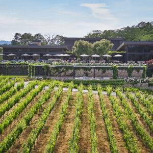 Montage Healdsburg exterior