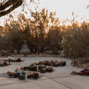 We Care Spa, yoga class, desert, outdoors